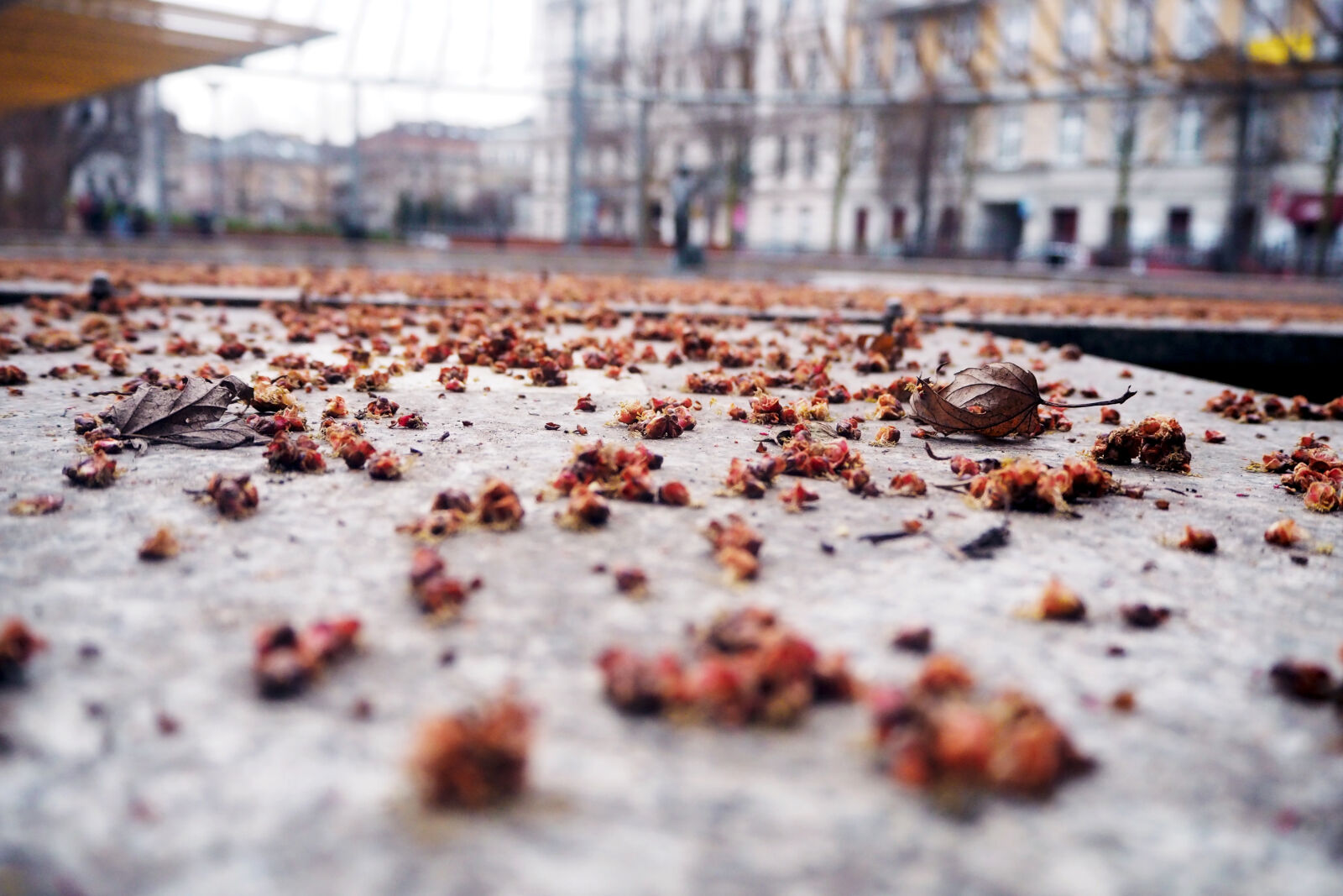 Olympus OM-D E-M10 II sample photo. Autumn, blurry, buildings, city photography