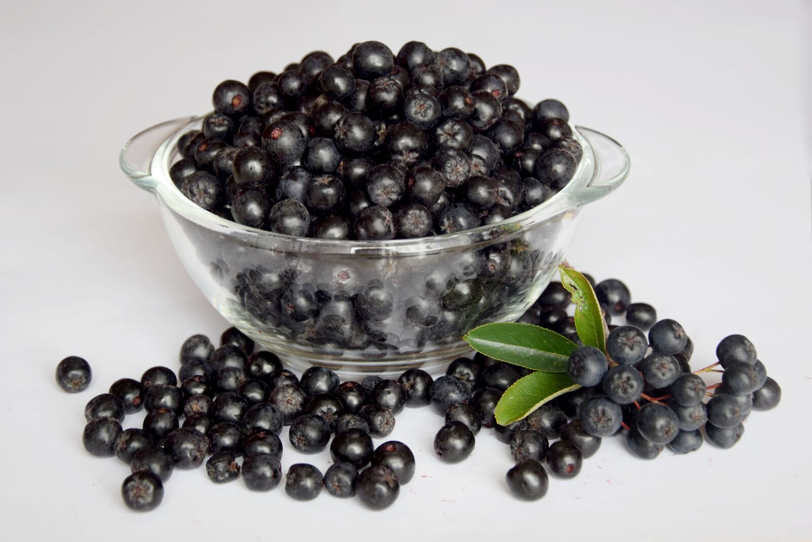 Nikon D3300 sample photo. Aronia, fruit, natural food photography