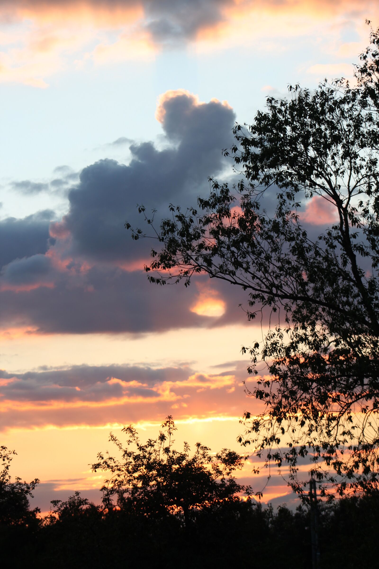 Canon EOS 500D (EOS Rebel T1i / EOS Kiss X3) sample photo. Evening, sunset, clouds photography