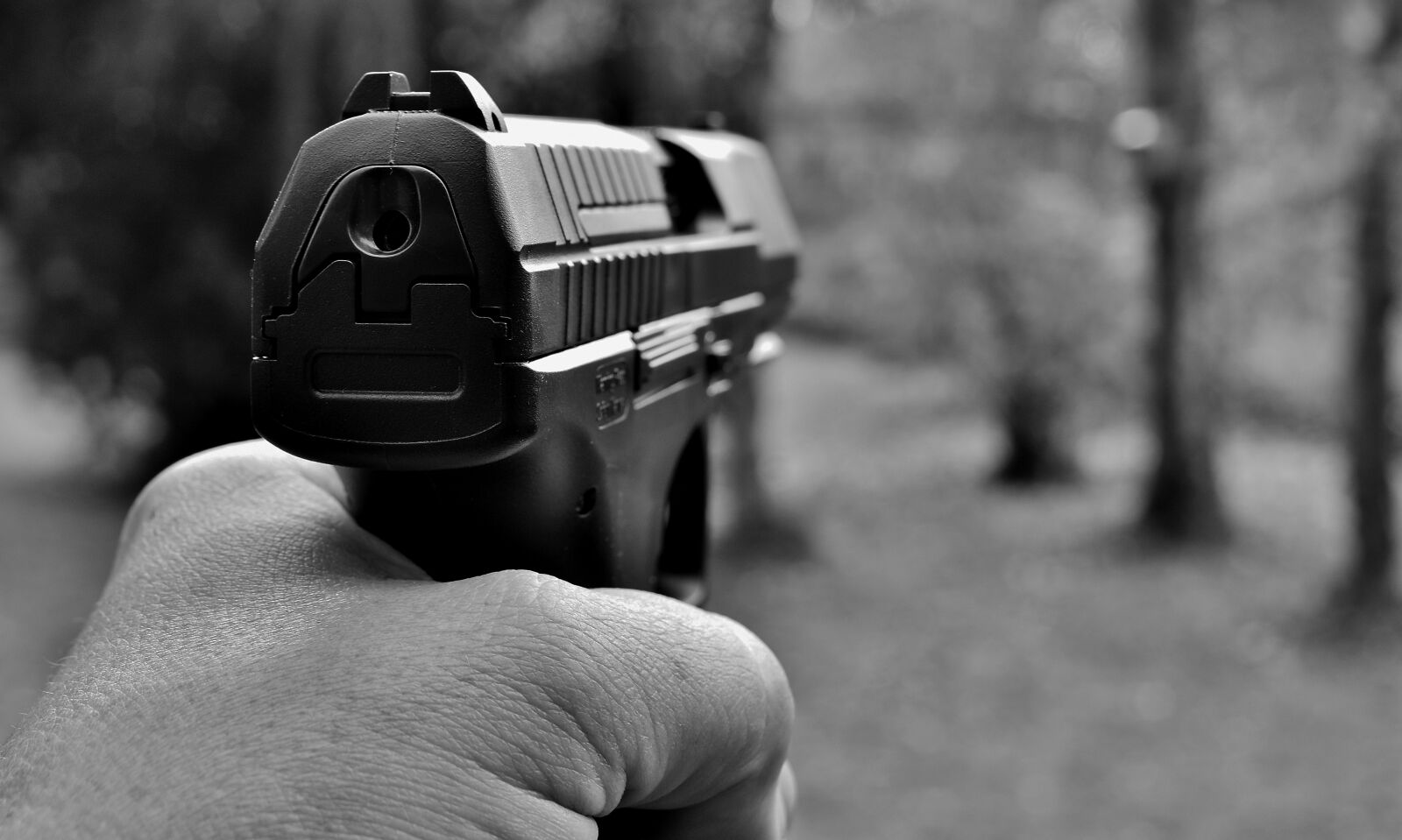 Nikon D7200 sample photo. Pistol, weapon, target photography
