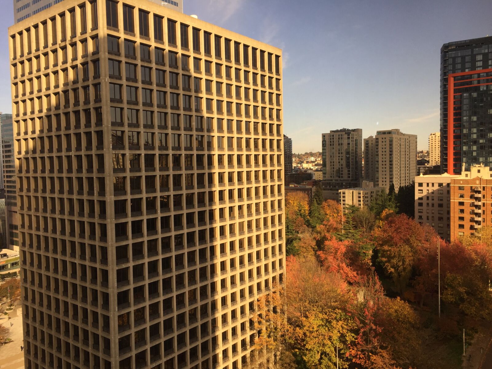 Apple iPhone 6 + iPhone 6 back camera 4.15mm f/2.2 sample photo. Building, fall, skyline photography