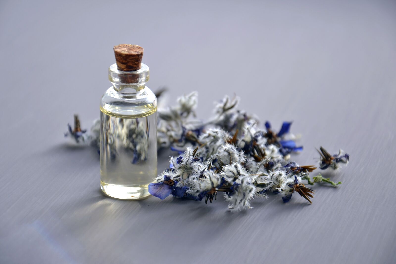 Nikon D3100 sample photo. Cosmetic oil, natural cosmetic photography