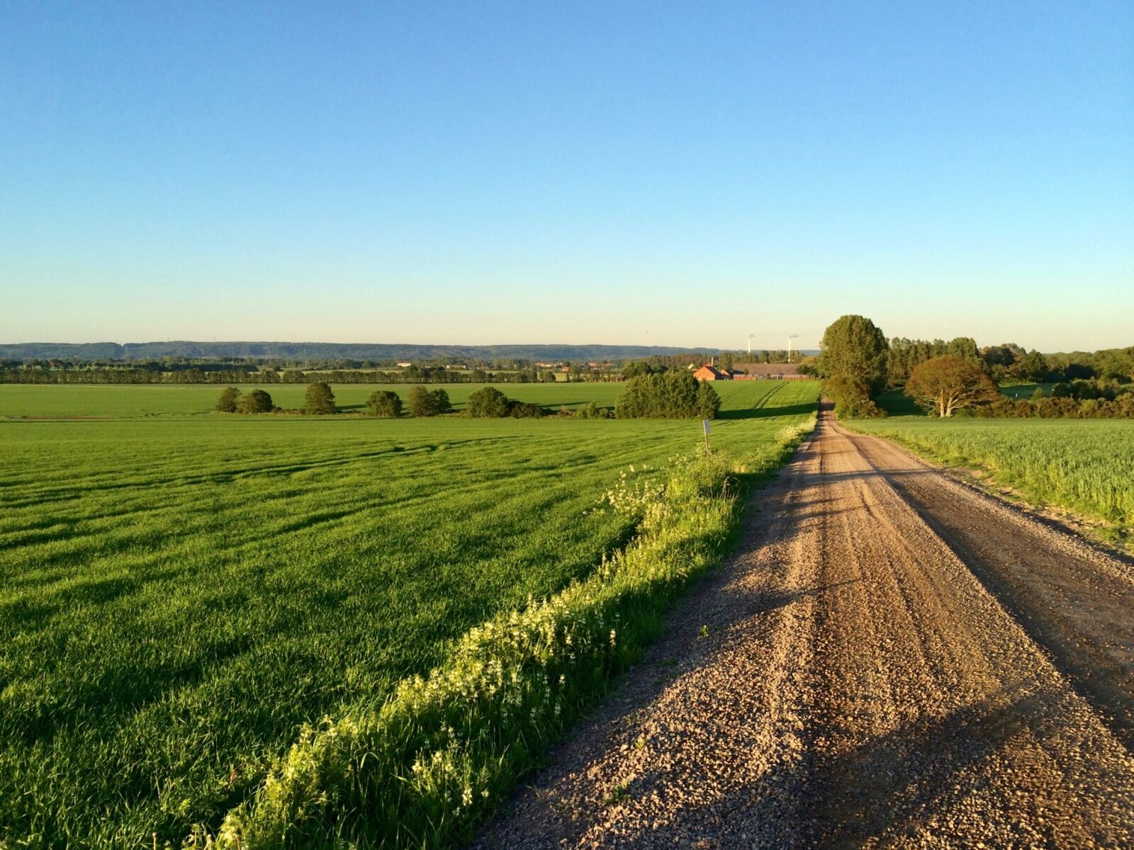 iPhone 5s back camera 4.12mm f/2.2 sample photo. Summer, southern sweden, bill photography