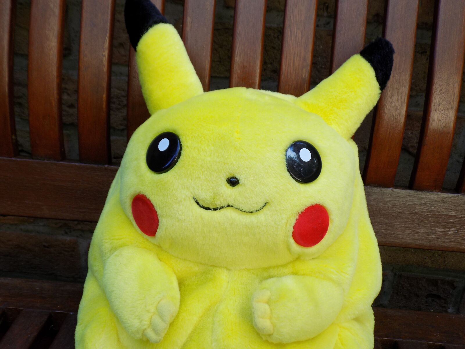 Nikon COOLPIX L340 sample photo. Pikachu, pokemon, fictitious photography