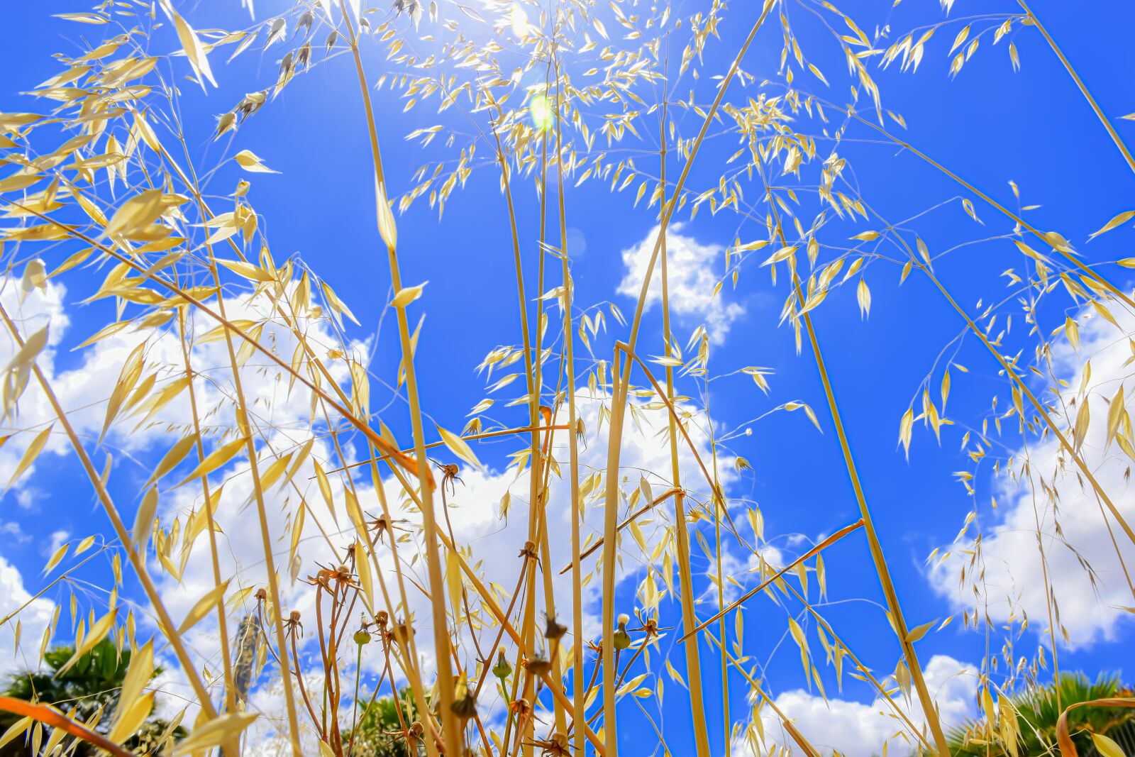 Nikon D5600 sample photo. Earth hour, sky, clouds photography