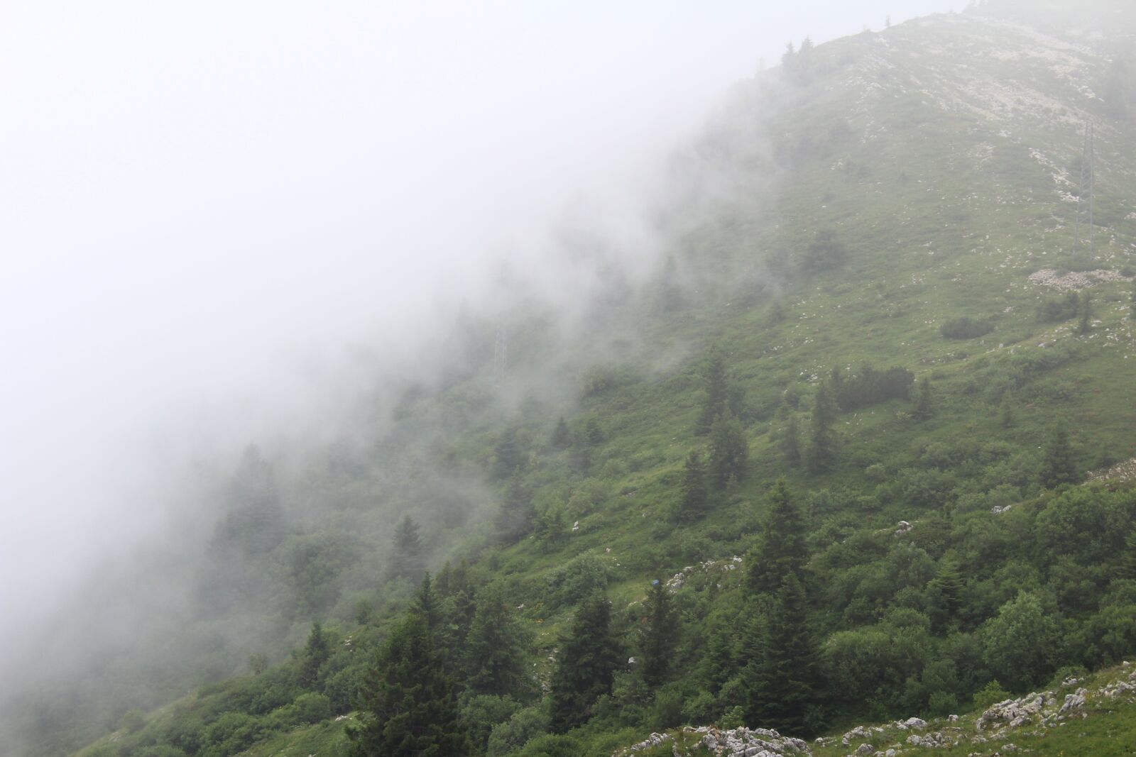 Canon EOS 600D (Rebel EOS T3i / EOS Kiss X5) sample photo. Fog, mist, landscape photography