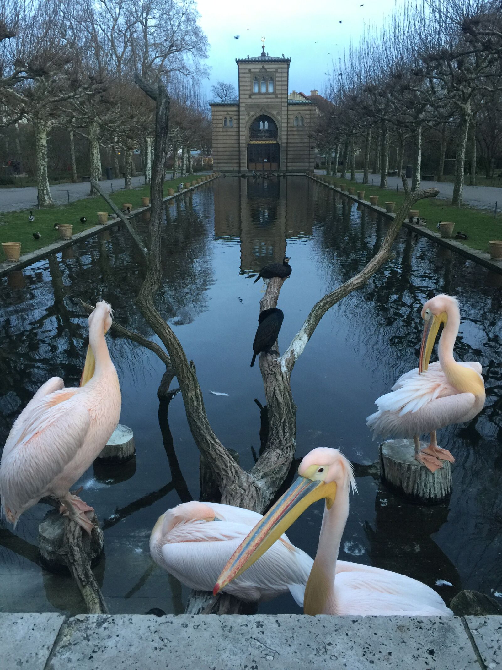 iPhone 6 Plus back camera 4.15mm f/2.2 sample photo. Water, view, beautiful photography