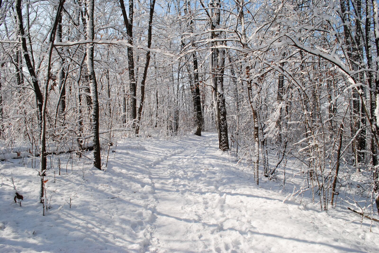 Nikon D3000 sample photo. Snow, trail, winter photography
