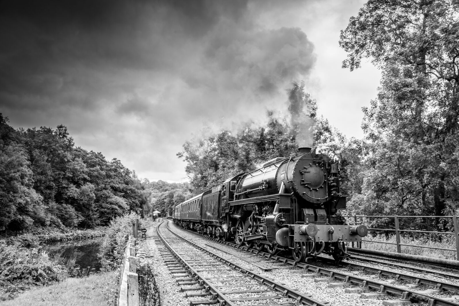 Nikon D800 sample photo. Steam, train, locomotive photography