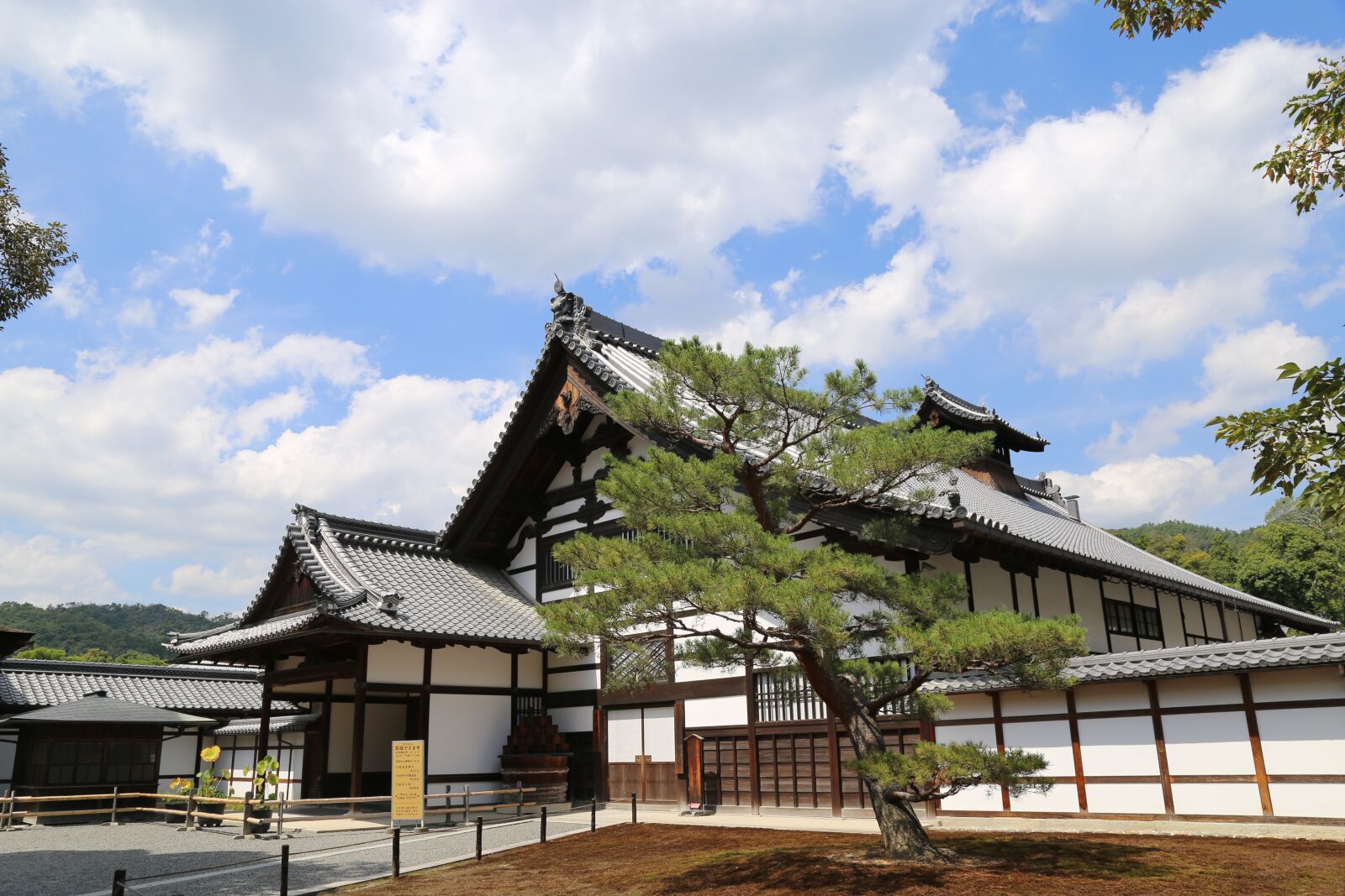 Canon EOS 6D + Canon EF 24-105mm F4L IS USM sample photo. The scenery, temple, japan photography