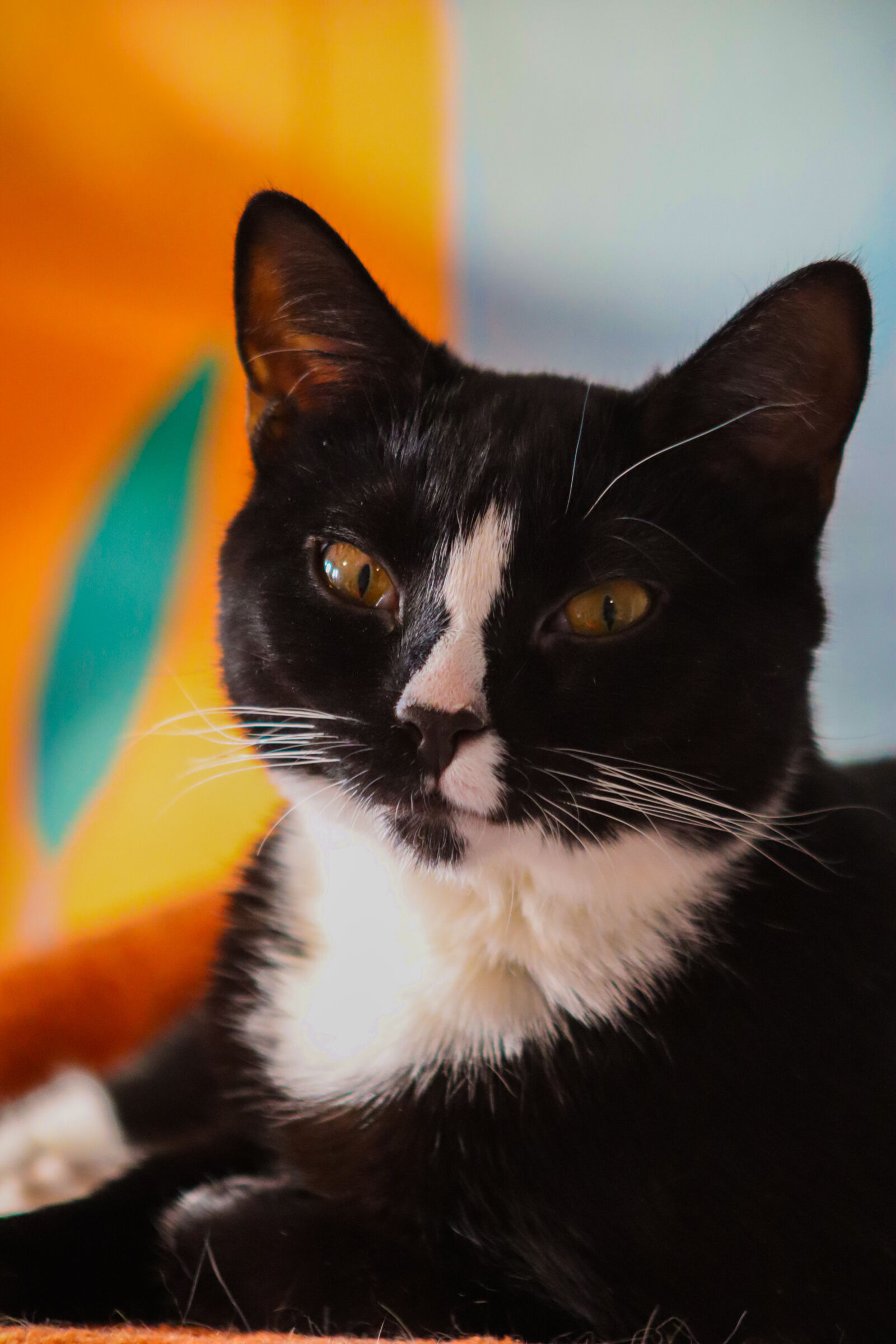 Canon EOS R100 sample photo