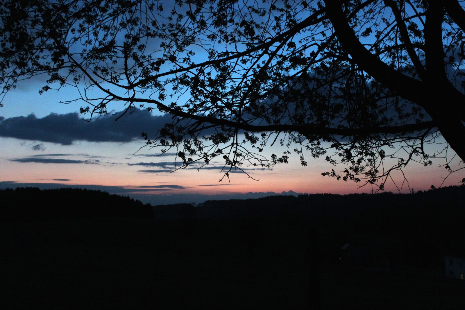 Canon EOS 600D (Rebel EOS T3i / EOS Kiss X5) sample photo. Evening sky, clouds, branches photography