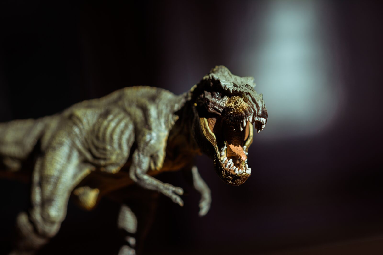 Nikon D5200 sample photo. Toy, animal, cute photography