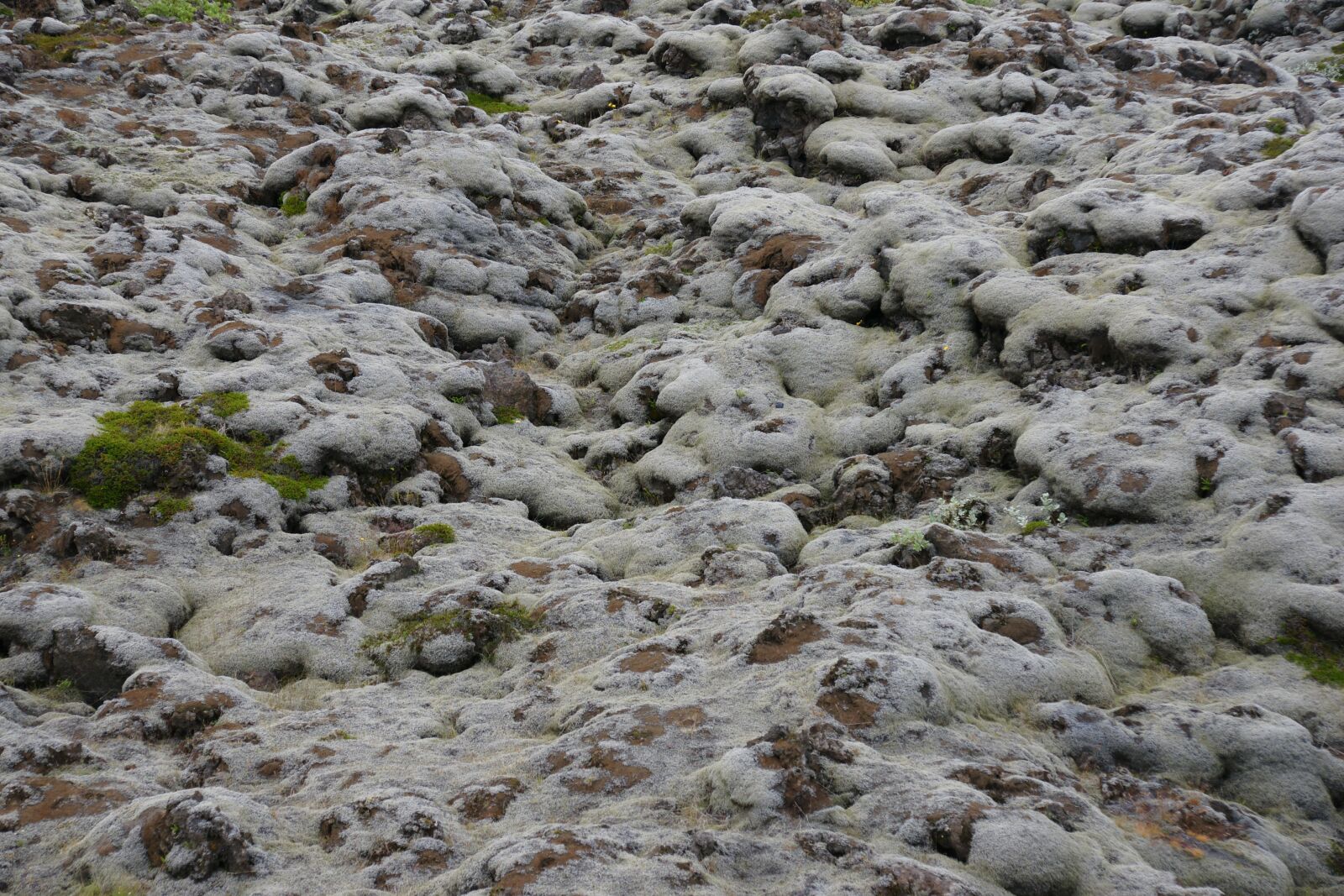 Sony Alpha DSLR-A700 sample photo. Soil, iceland, landscape photography