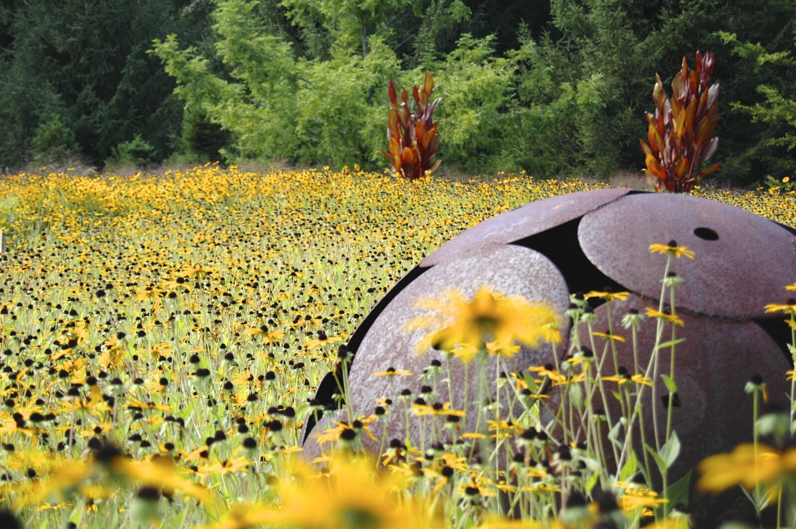 Nikon D70 sample photo. Summer, meadow, art photography