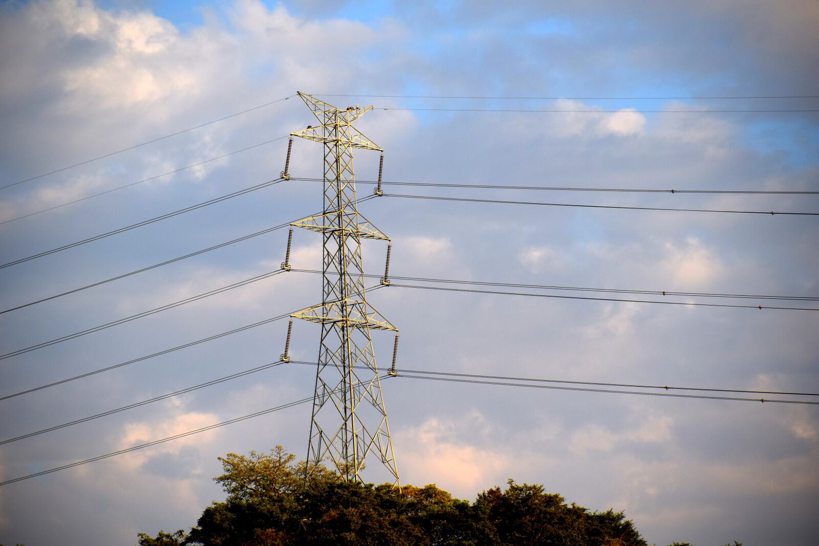 Nikon D3300 sample photo. Electricity, power, transmission photography