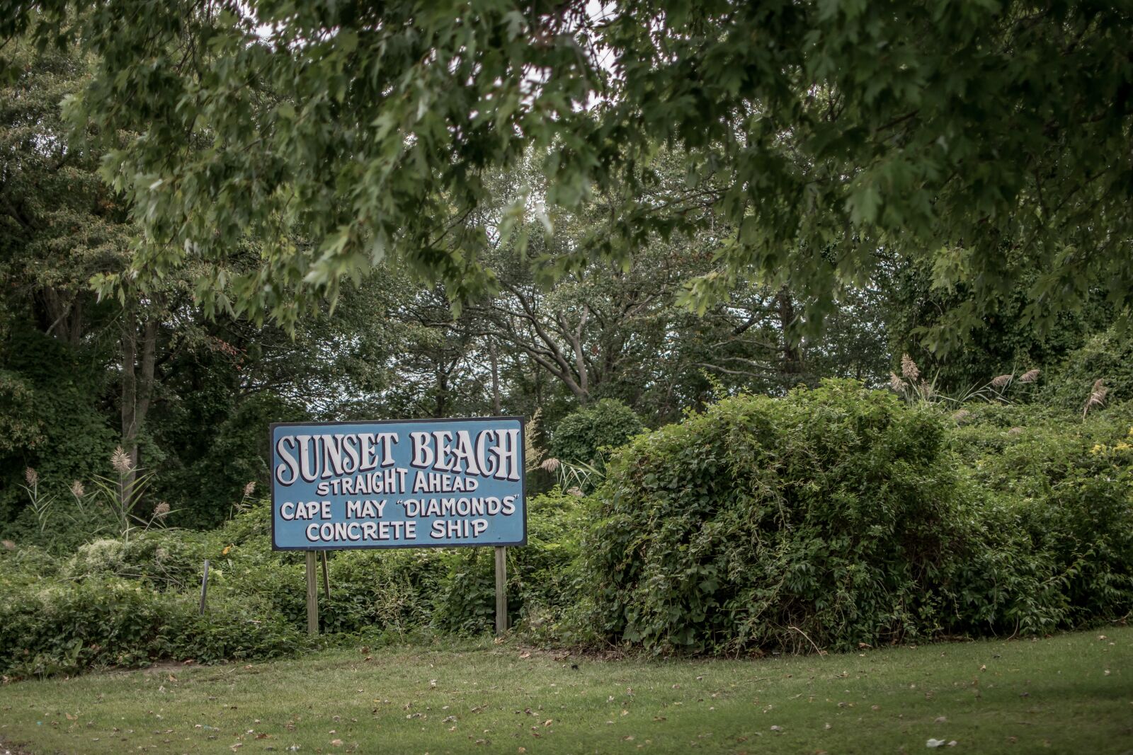 Nikon D3300 sample photo. Capemay, style, aesthetics photography