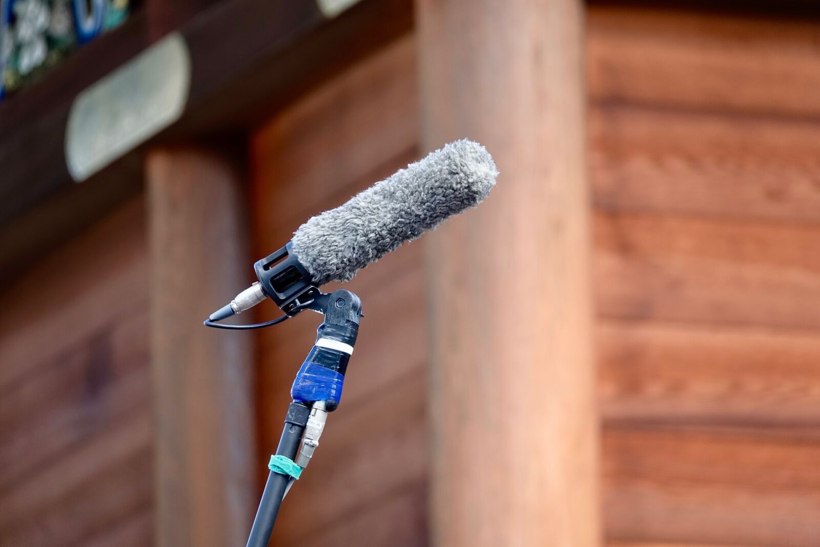 Sony Cyber-shot DSC-RX10 IV sample photo. Microphone, location, shooting photography