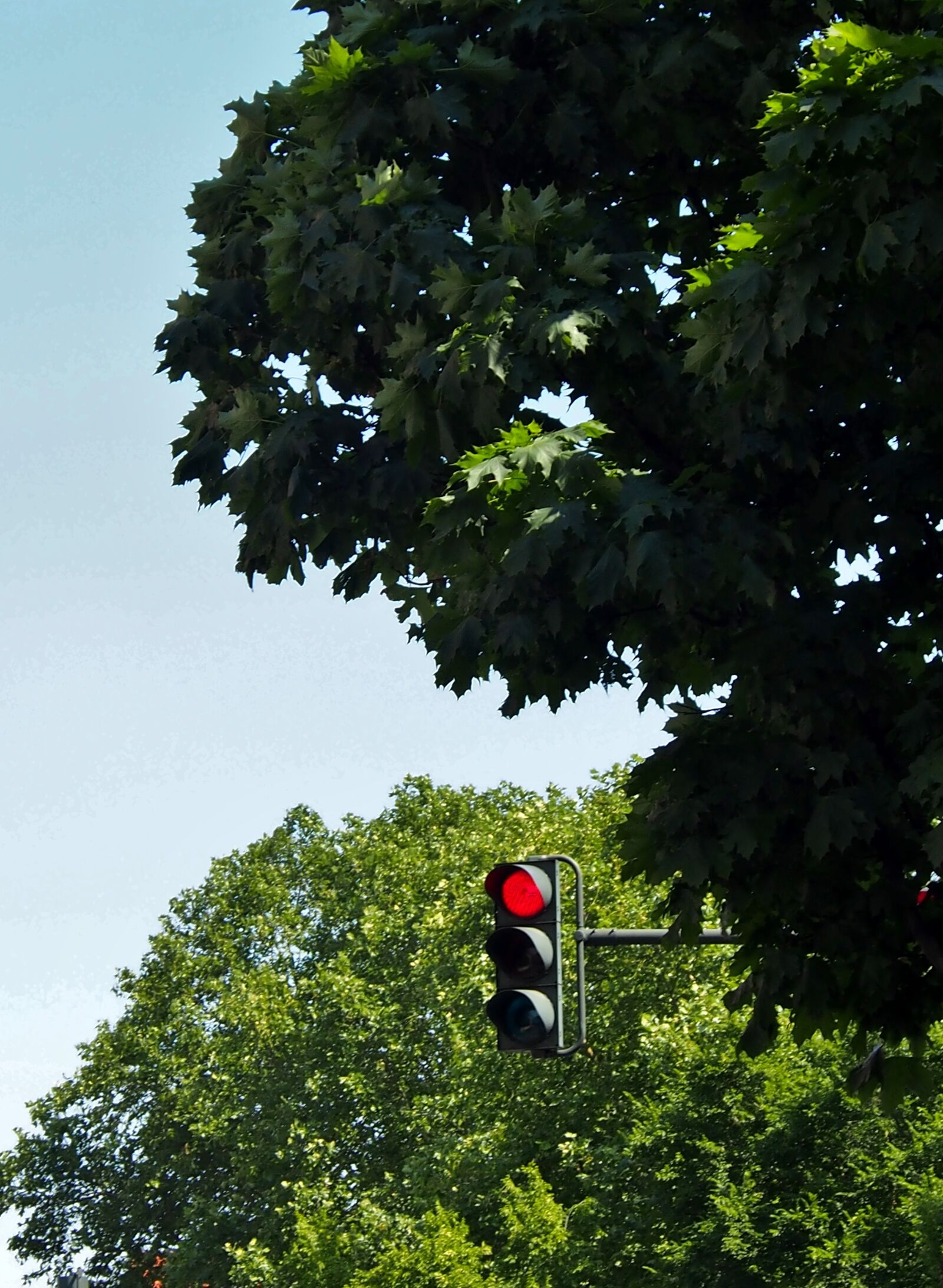 Olympus OM-D E-M5 sample photo. Traffic lights, traffic control photography