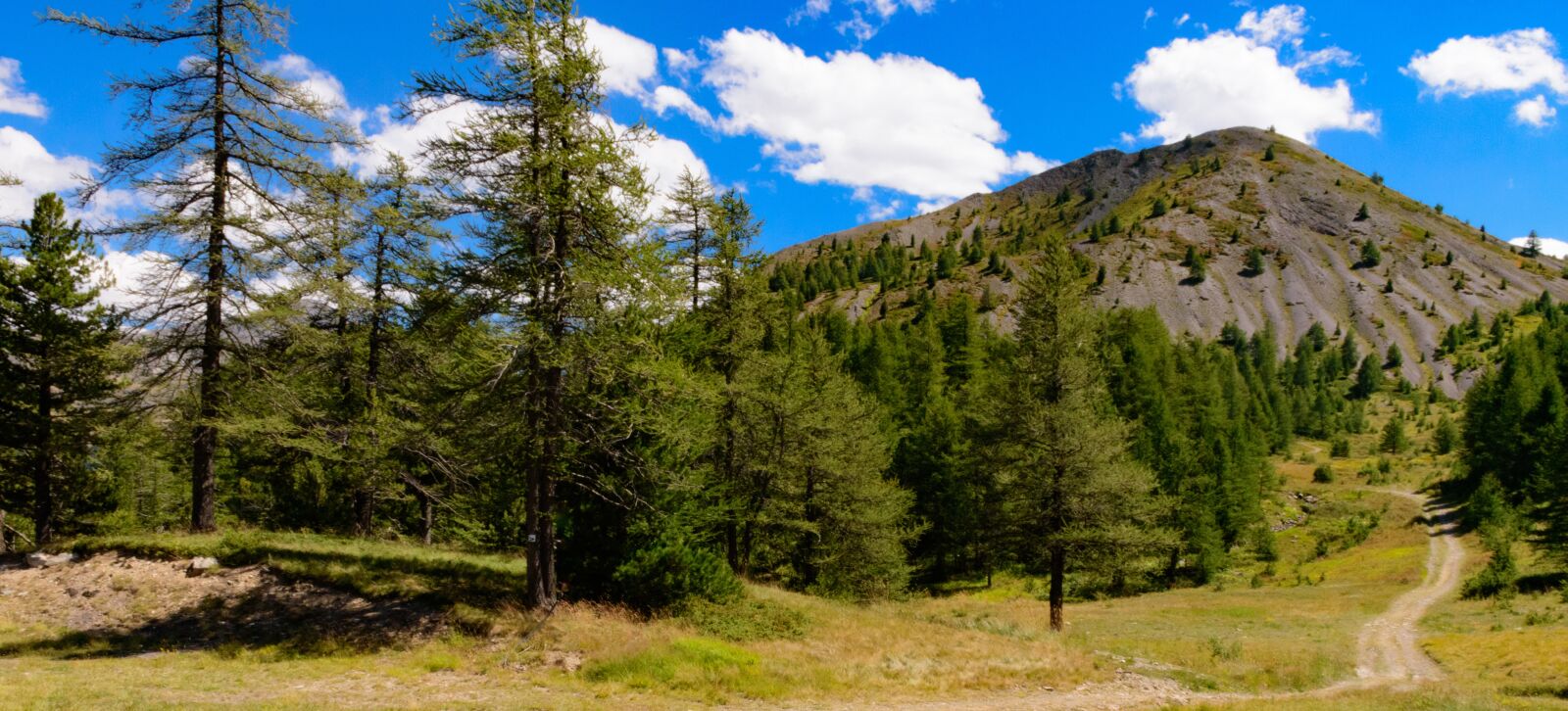 Nikon D5500 sample photo. Mountain, hiking, forest photography