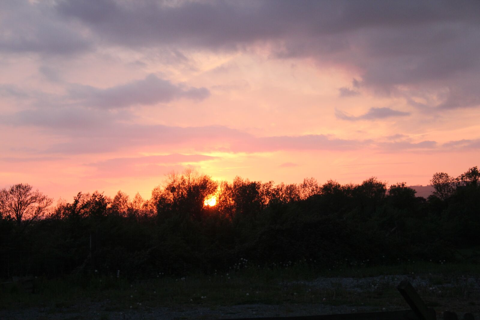 Canon EOS 550D (EOS Rebel T2i / EOS Kiss X4) sample photo. Sunset, farm, field photography
