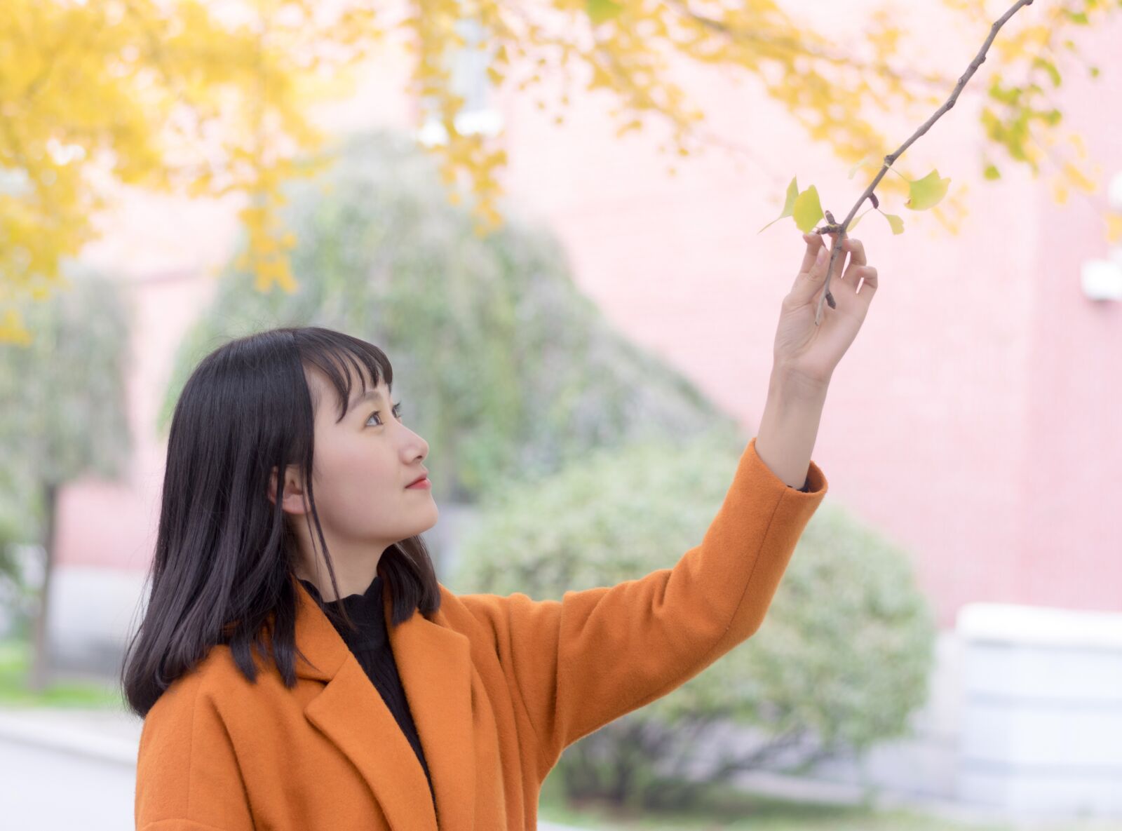 Nikon D3300 sample photo. Ginkgo, girls, shenyang agricultural photography