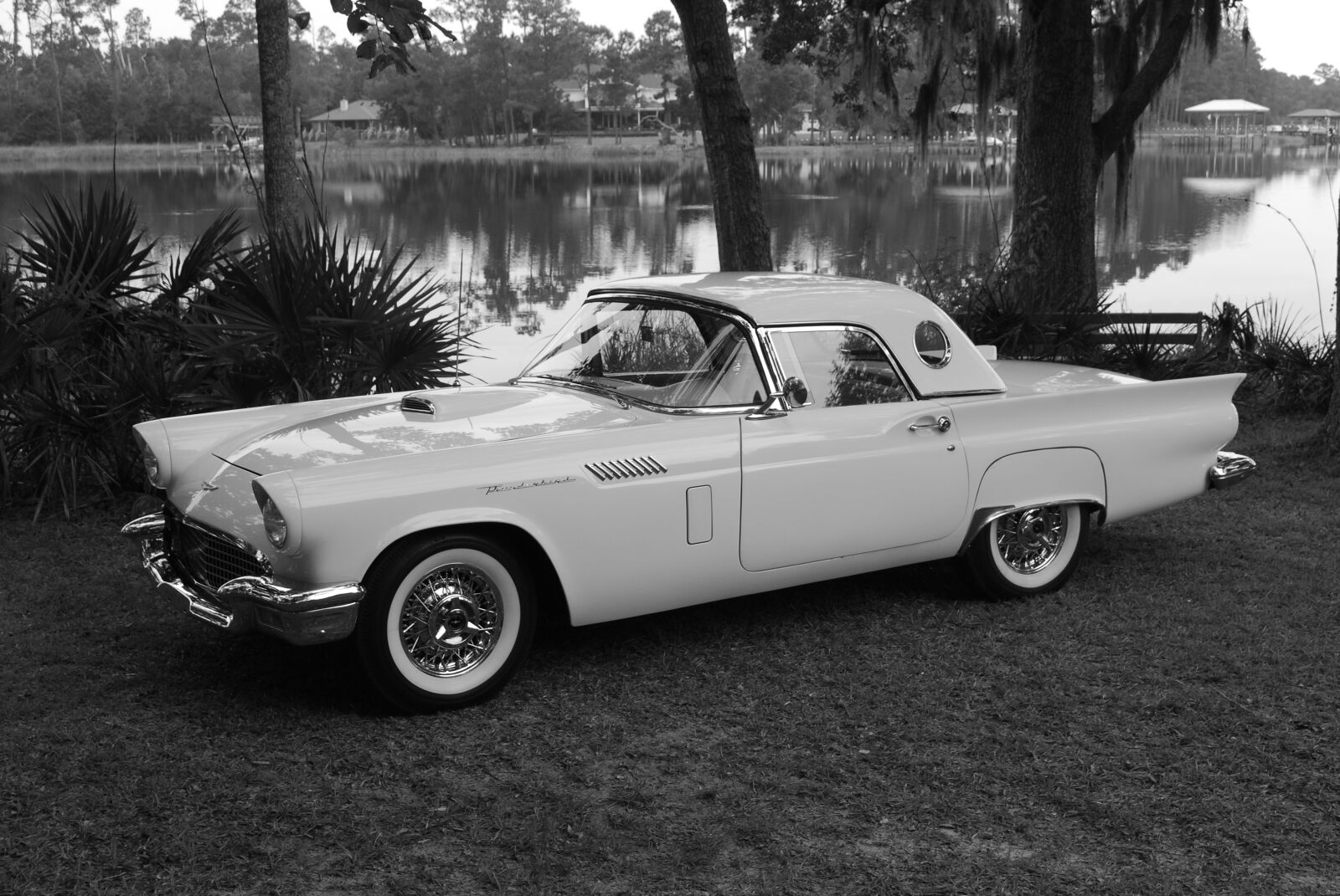 Nikon D60 sample photo. Thunderbird, ford, car photography