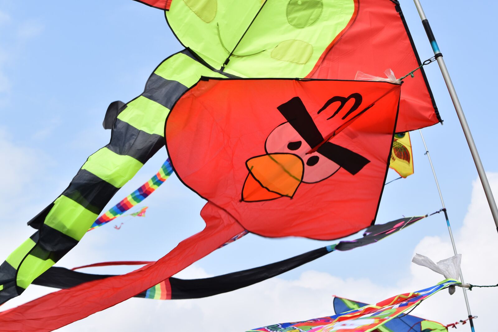 Nikon D5500 sample photo. Flag, sport, fun photography