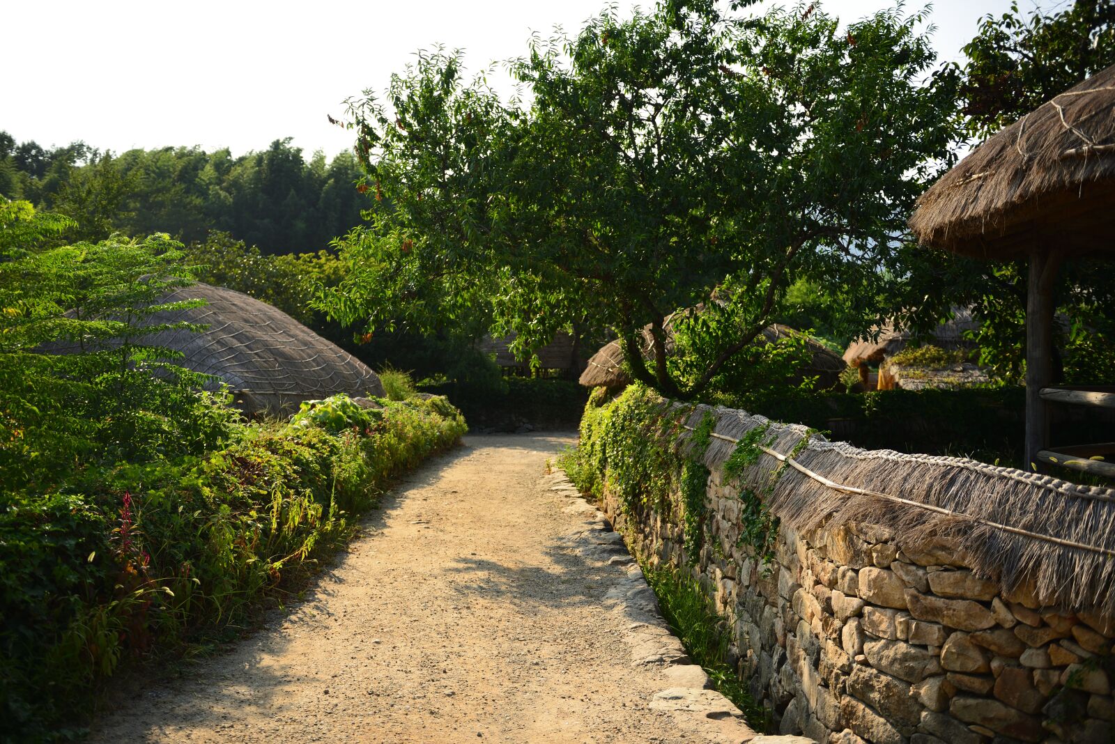 Nikon D800 sample photo. Home, naganeupseong, suncheon photography