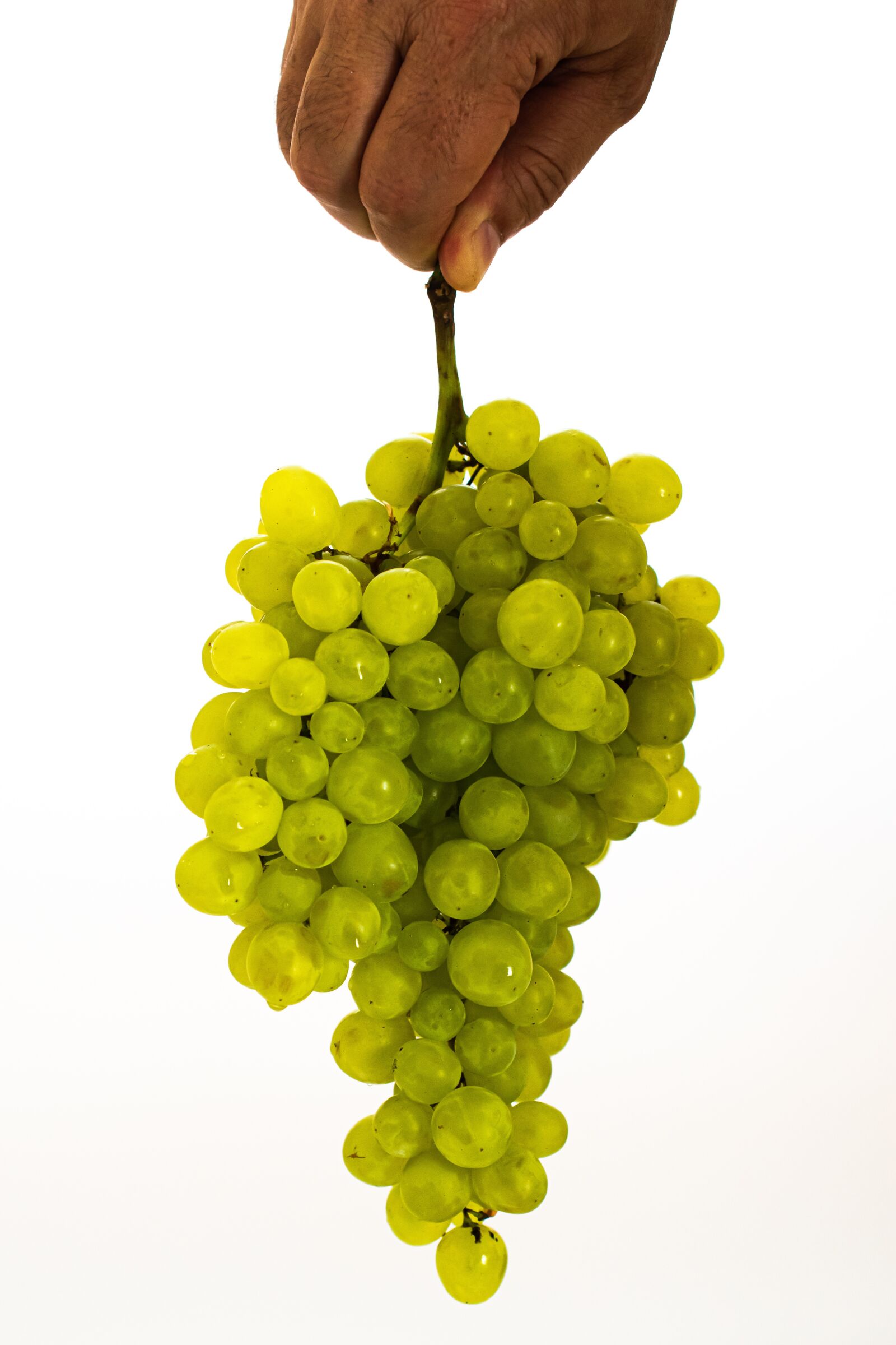 Nikon D5600 sample photo. Grape, green, fruit photography
