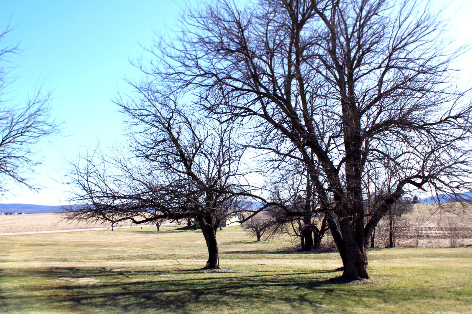 Canon EOS 2000D (EOS Rebel T7 / EOS Kiss X90 / EOS 1500D) sample photo. Trees, rural, outside photography