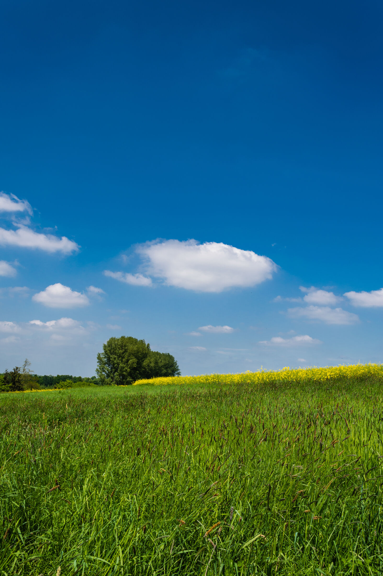 Nikon D3200 sample photo