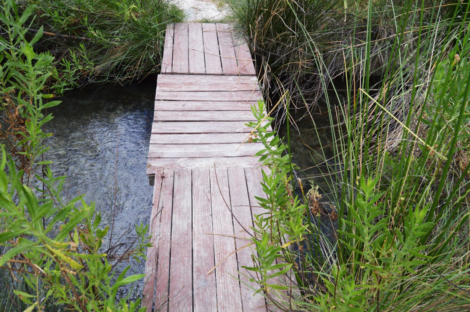 Nikon D3200 sample photo. Wooden bridge, wooden boards photography