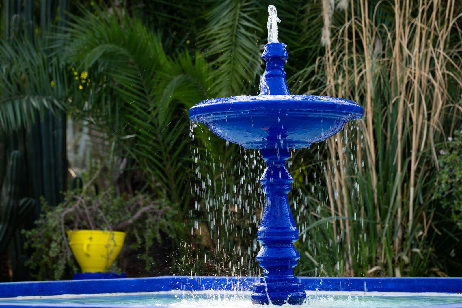 Nikon D7500 sample photo. Fountain, jardin majorelle, marrakech photography