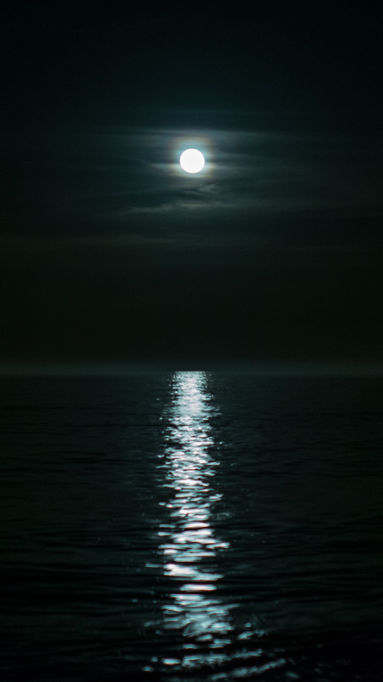 Nikon D3300 sample photo. Nature, darkness, moon photography
