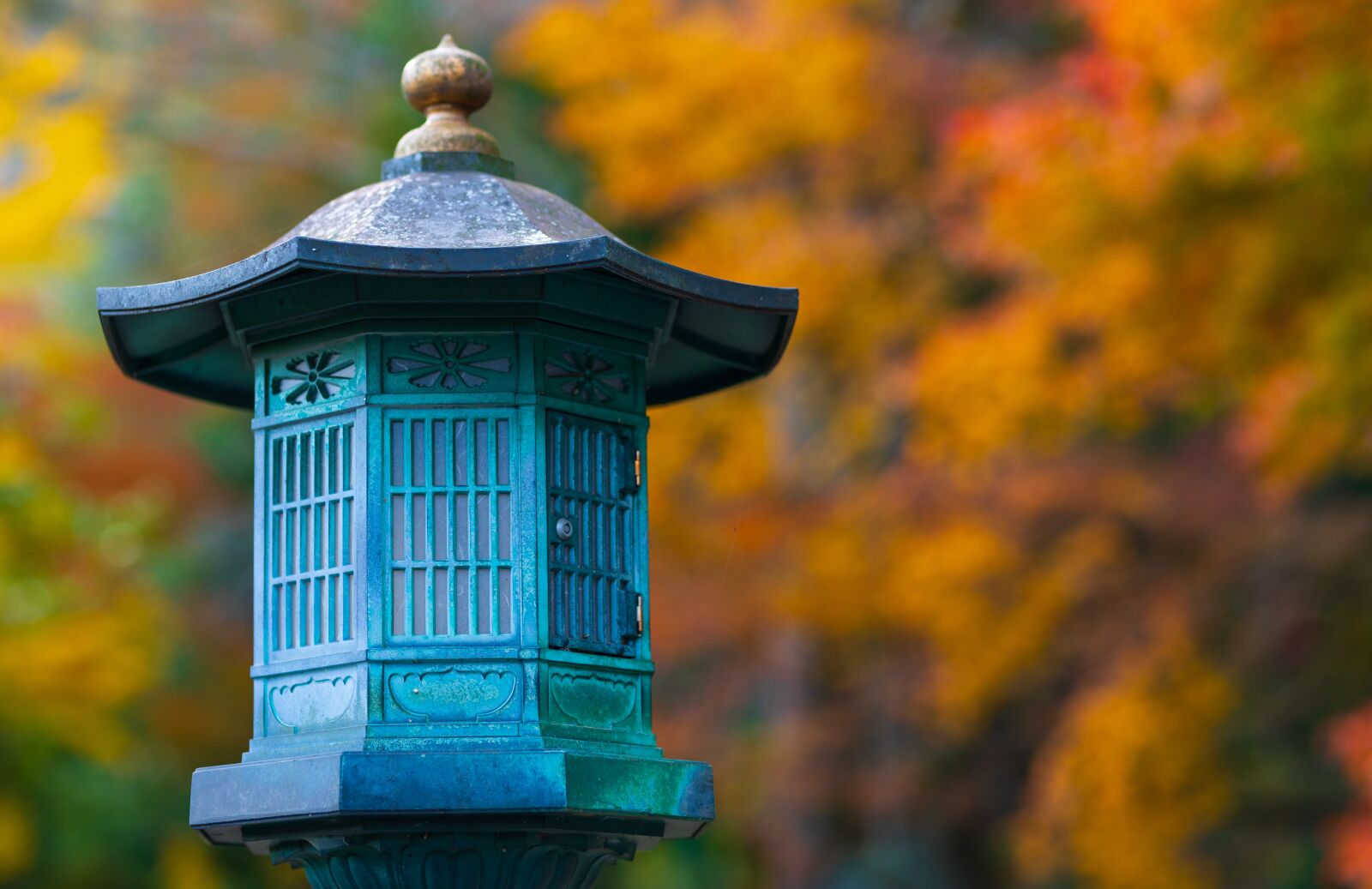 Nikon D750 sample photo. Leaf, japan, culture photography