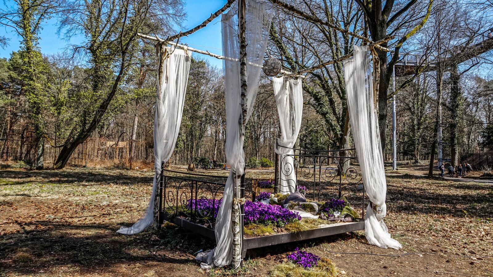 Sony Alpha a5000 (ILCE 5000) sample photo. Bed, deco, nature photography