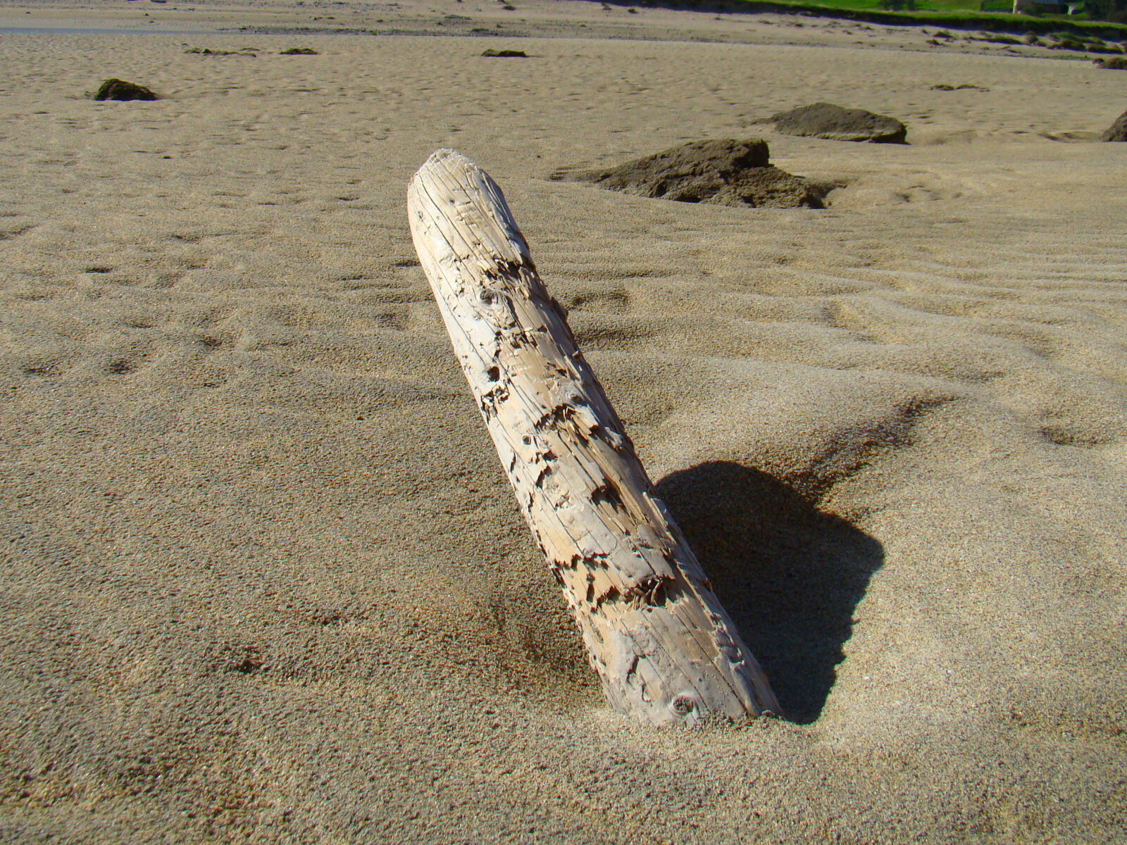 Sony Cyber-shot DSC-H50 sample photo. Beach, driftwood, ireland, log photography