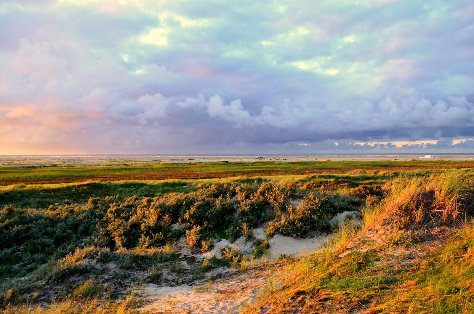 Nikon D5100 sample photo. Mood, abendstimmung, blue hour photography