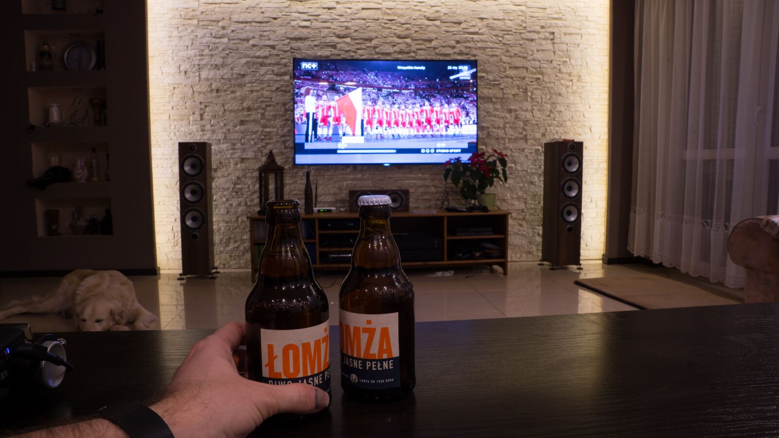 Sony ILCA-77M2 sample photo. 2016, match, championship, european, handball photography