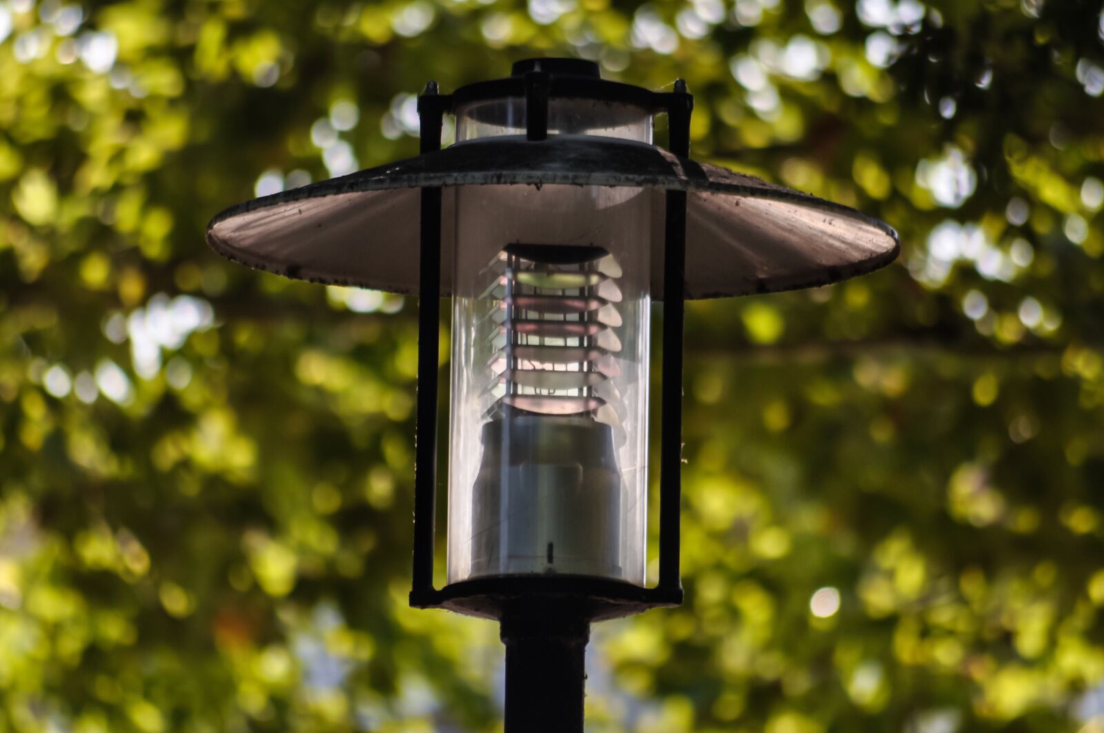 Nikon D90 sample photo. Lamp, light, lightbulb photography