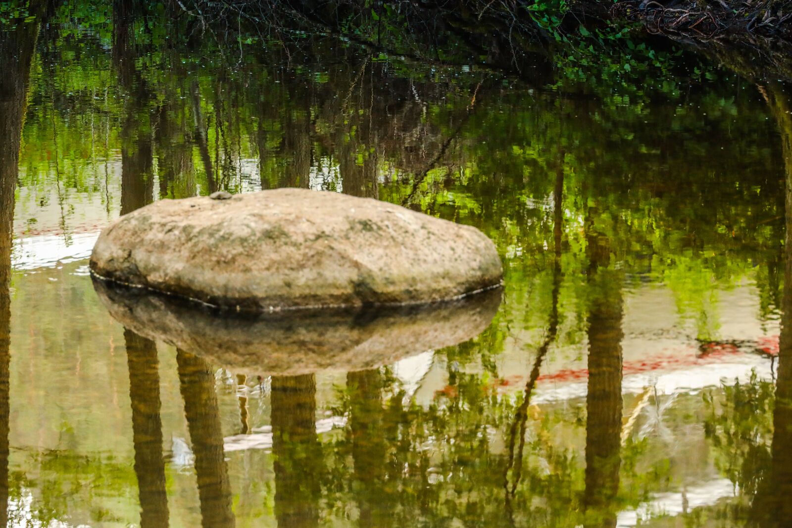 Canon EOS R sample photo. River, water, reflection photography