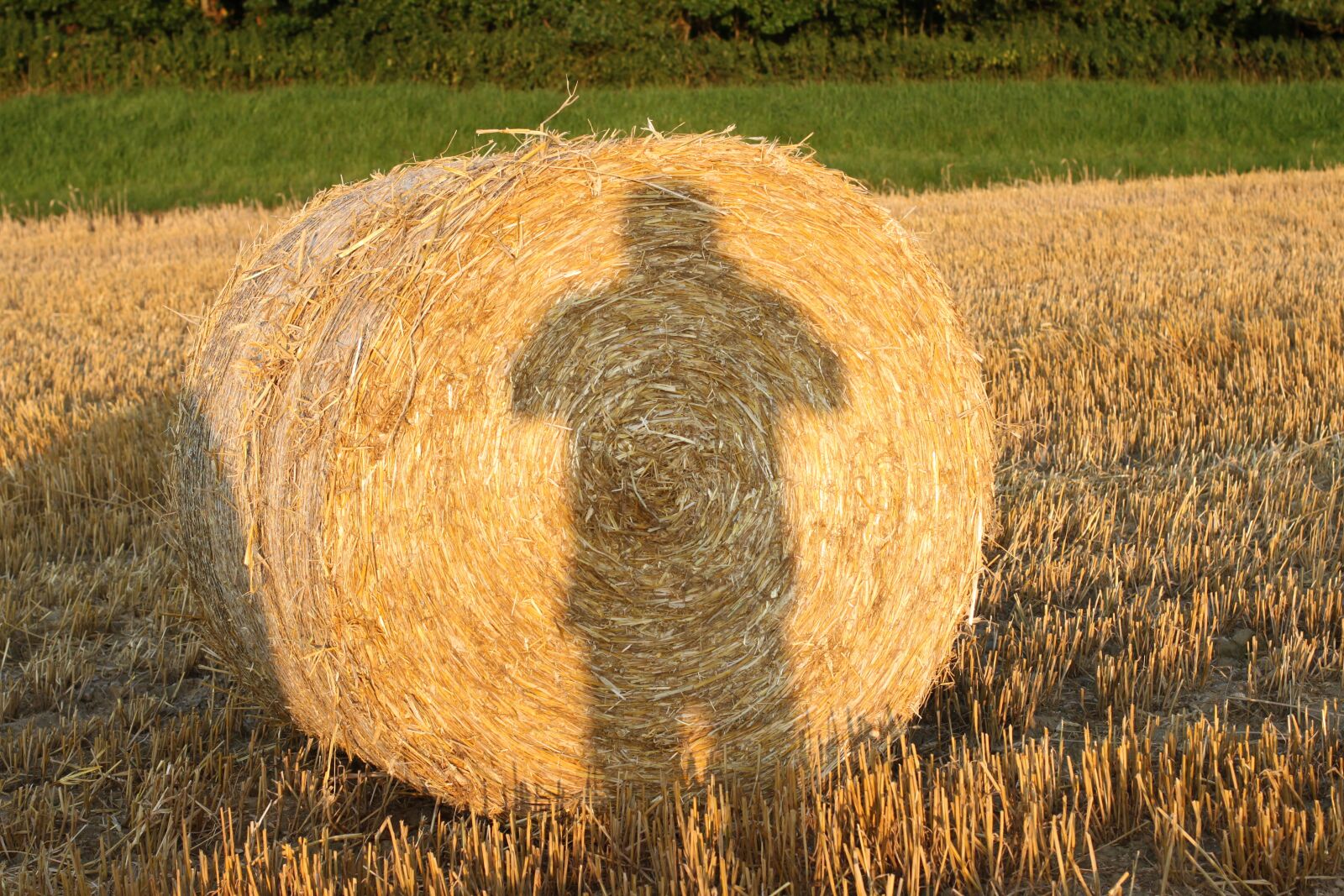 Canon EOS 500D (EOS Rebel T1i / EOS Kiss X3) sample photo. Stohballen, shadow, straw photography