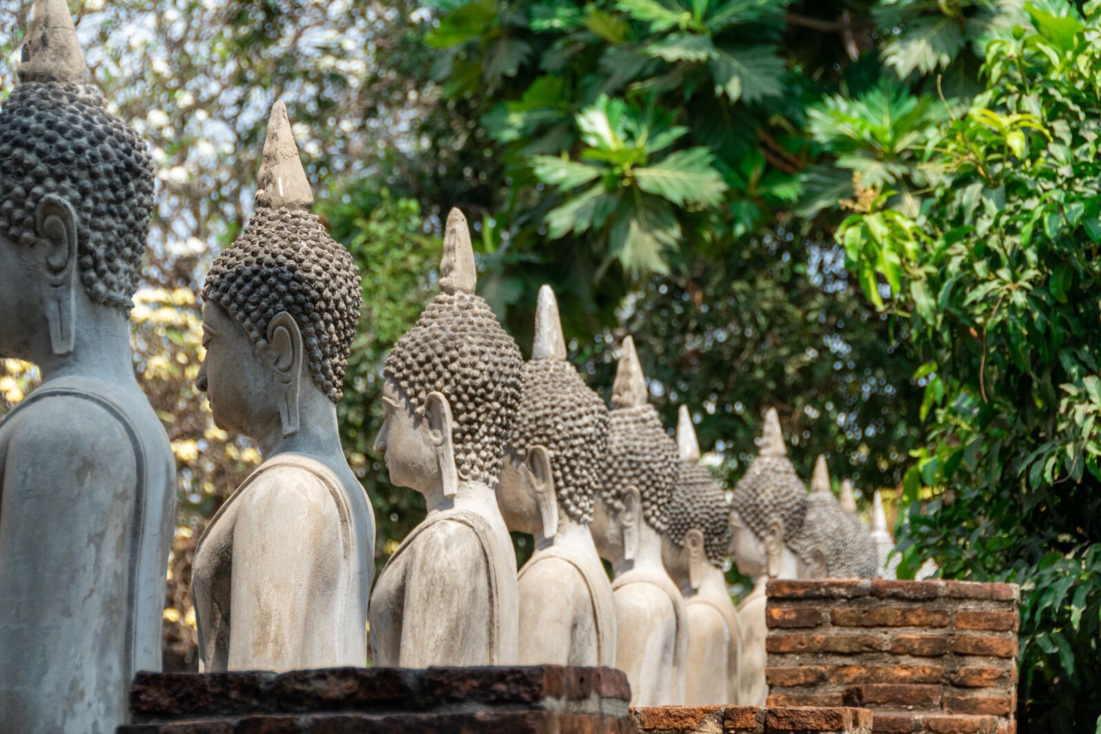 Nikon D5600 sample photo. Buddha, statue, meditation photography