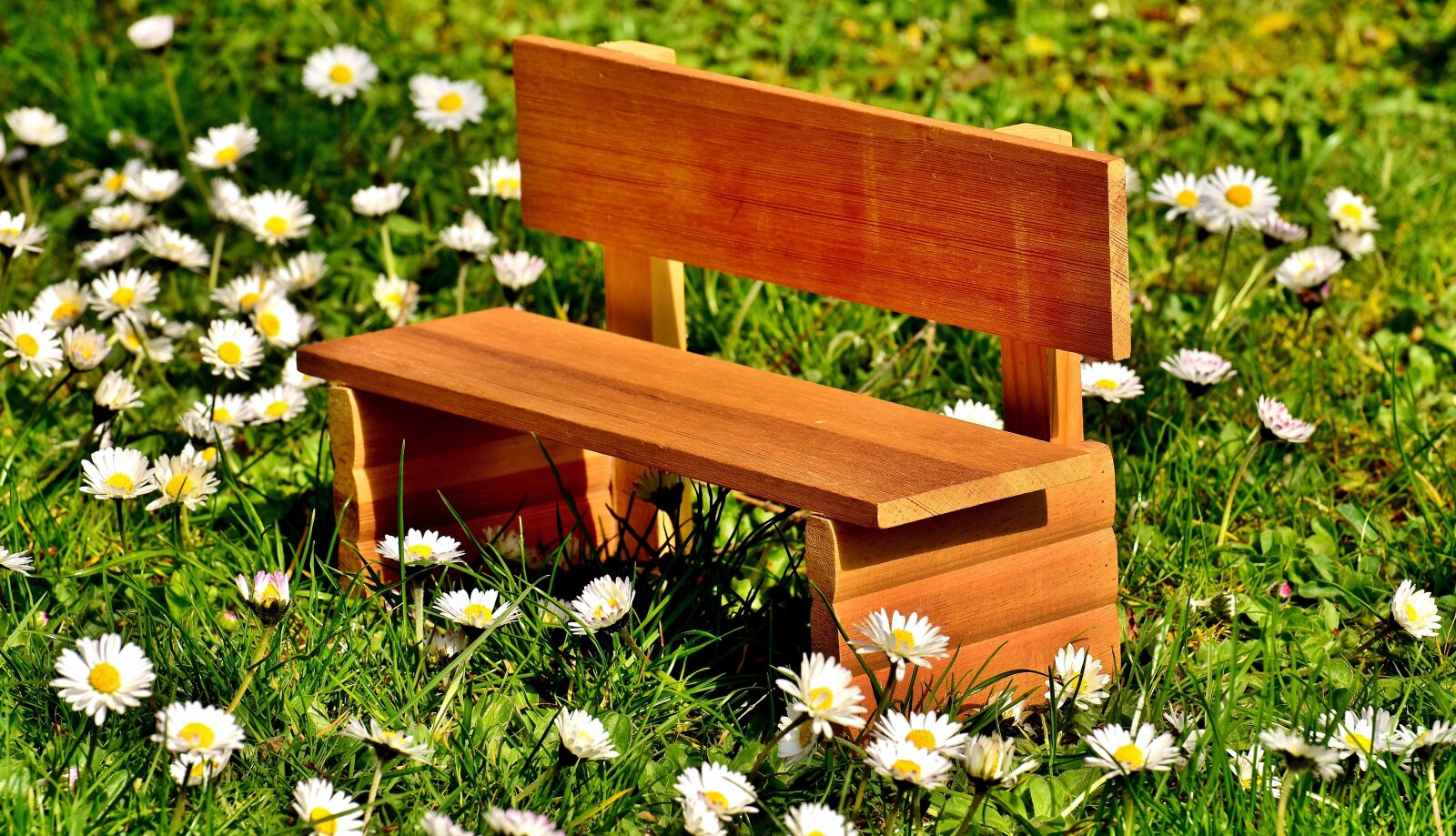 Nikon D7200 sample photo. Bench, meadow, grass photography