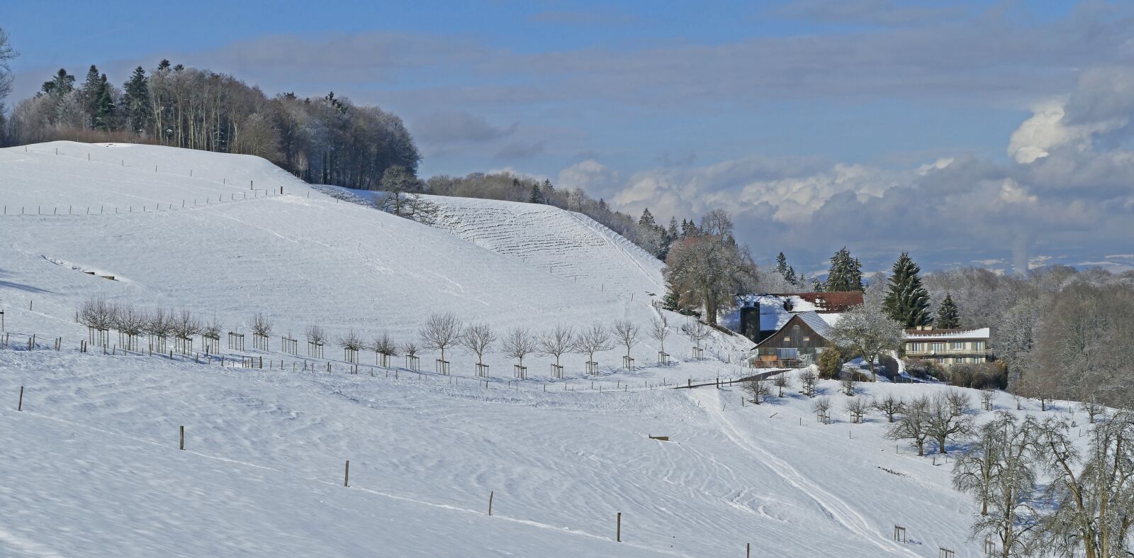 Panasonic Lumix DMC-FZ1000 sample photo. Landscape, switzerland, winter photography