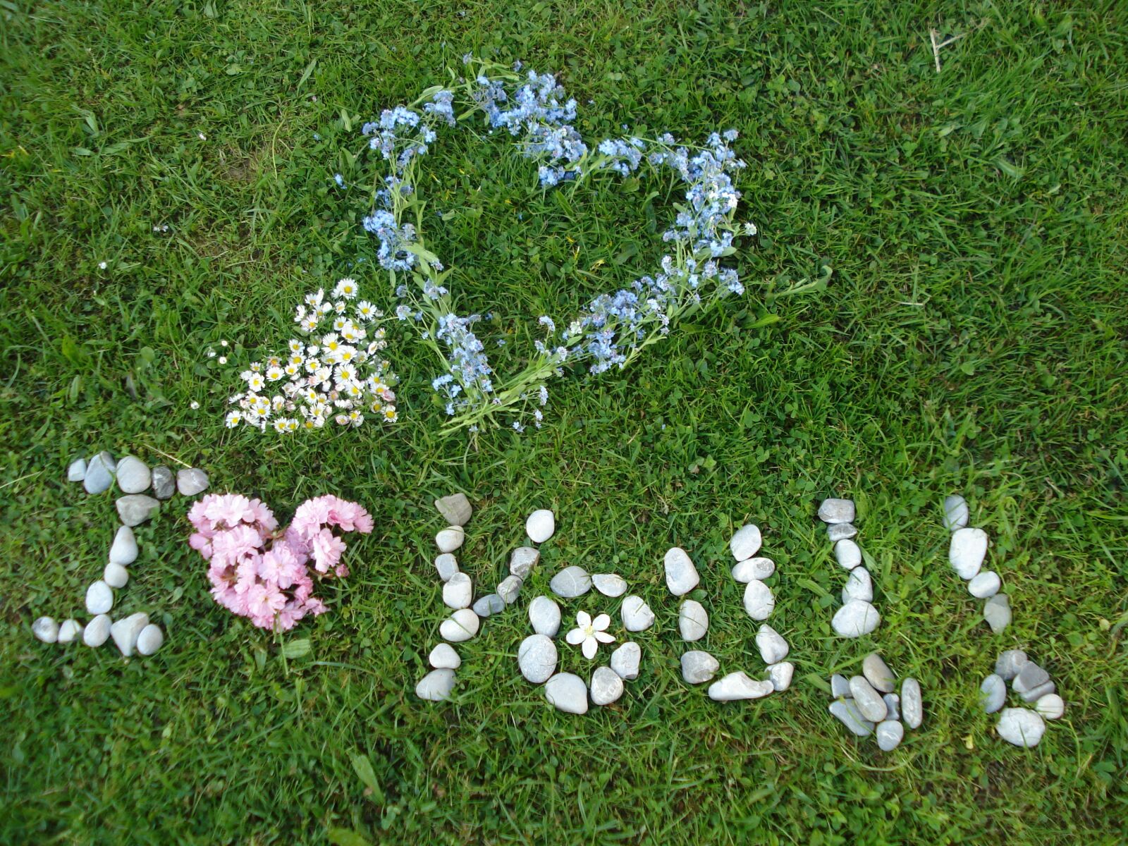 Sony DSC-W55 sample photo. I love you, heart photography