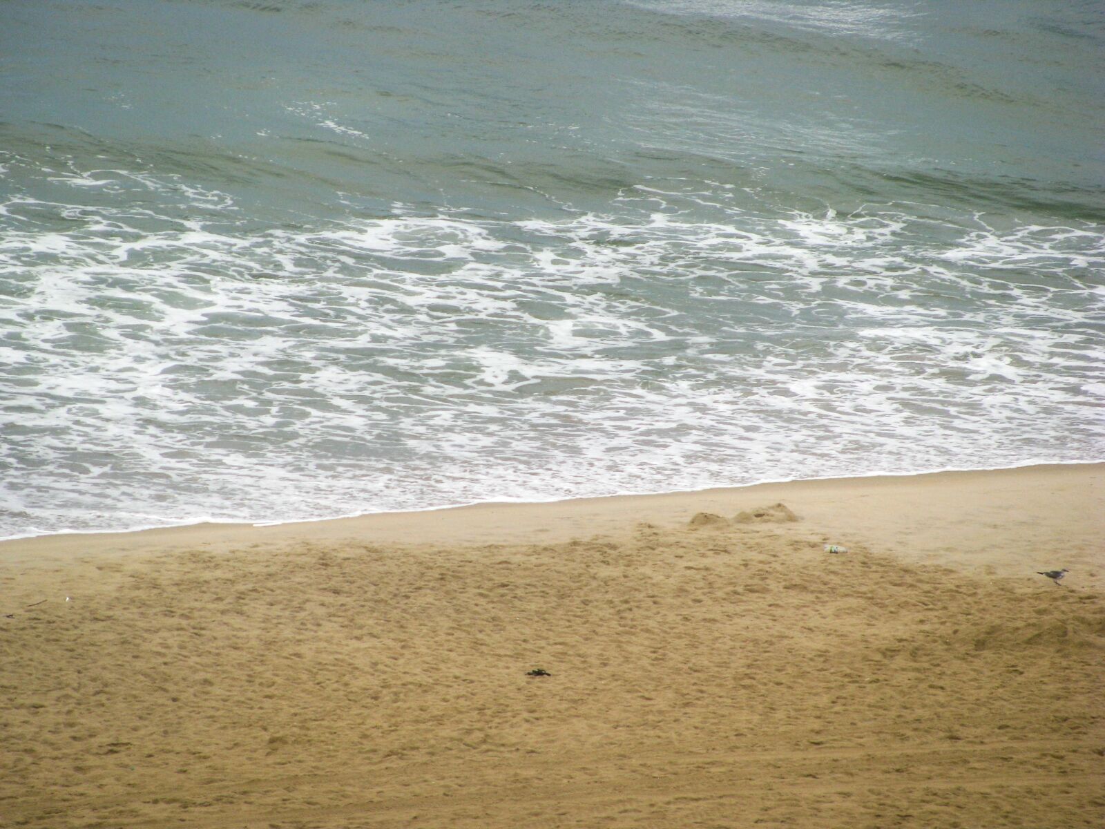 Canon POWERSHOT SX100 IS sample photo. Beach, sand, shore photography