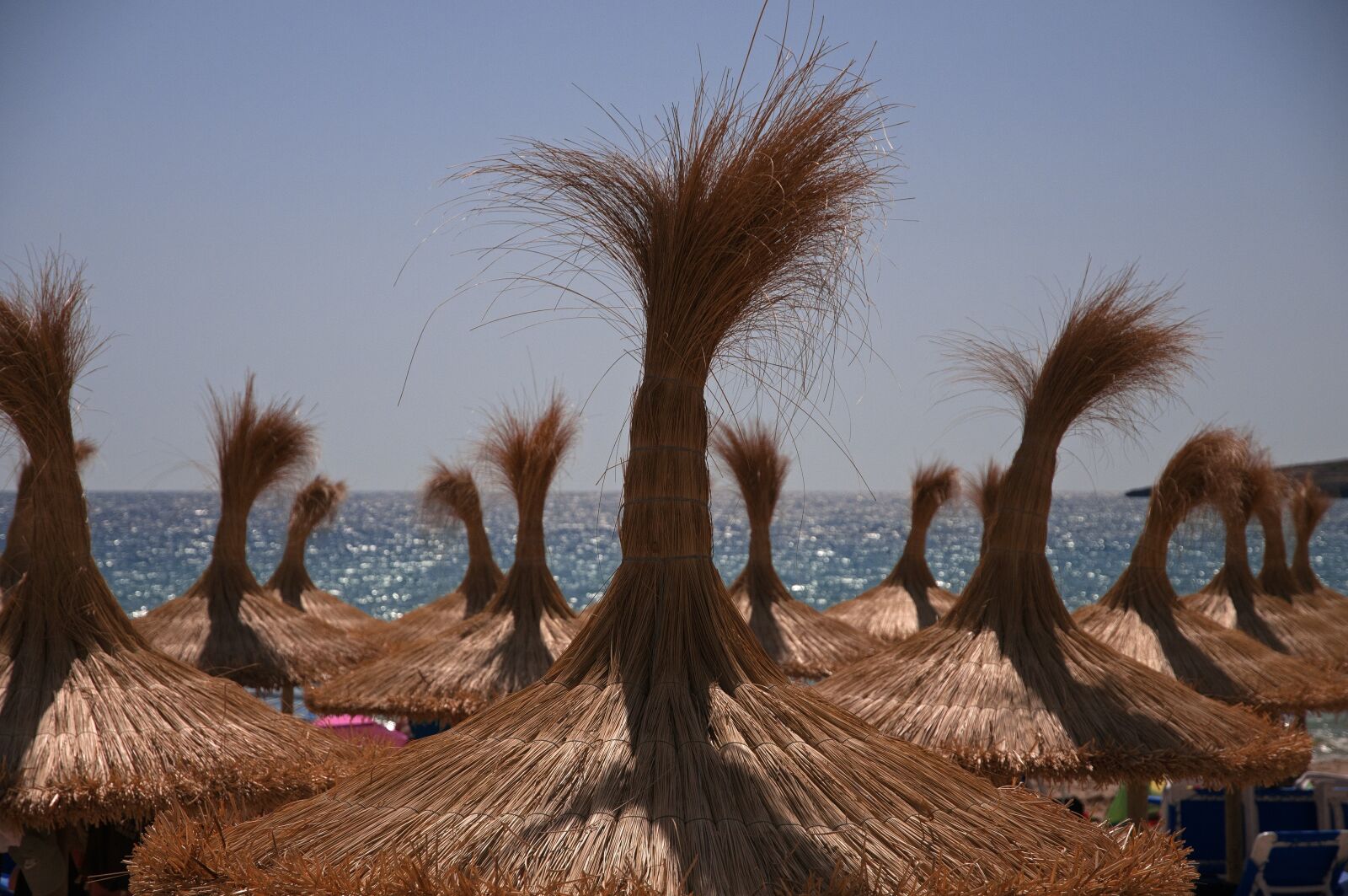 Nikon D300S sample photo. Palm roofs, sea, sun photography