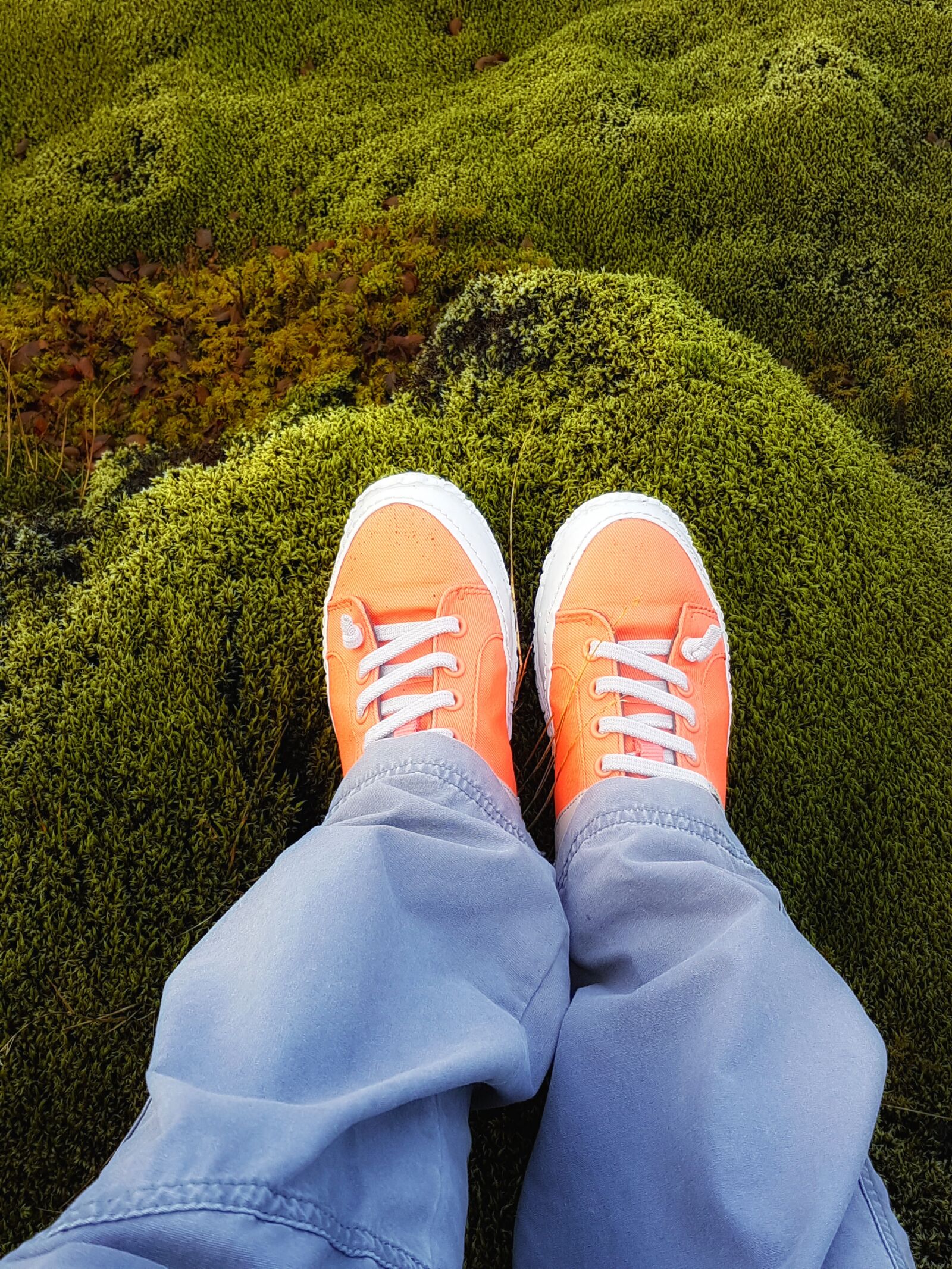 Samsung Galaxy S7 Edge sample photo. Lava field, moss field photography